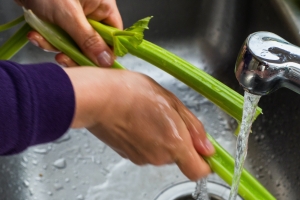5 formas de ahorrar agua en su casa